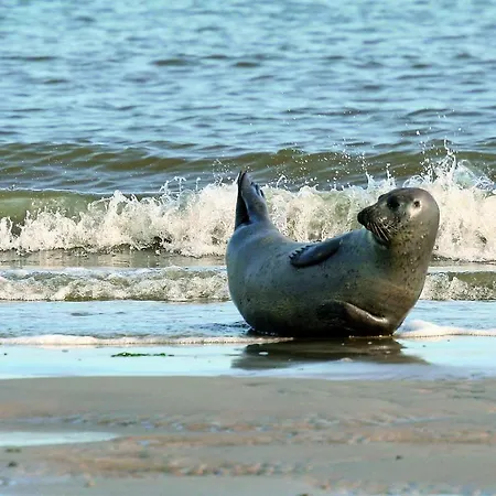 Prázdninový dům Gud Jard Nr 20 - Design-ferienhaus Mit Exklusiver Ausstattung *