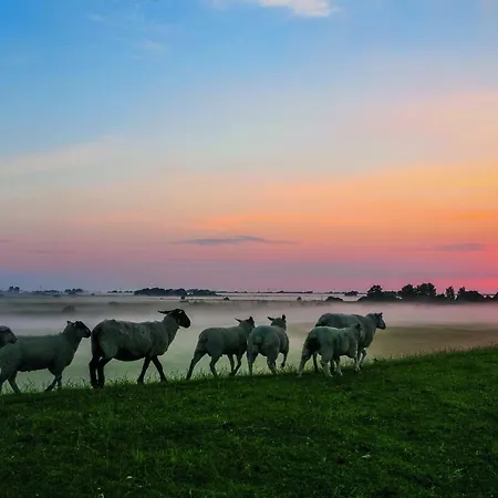 Gud Jard Nr 20 - Design-ferienhaus Mit Exklusiver Ausstattung * Pellworm