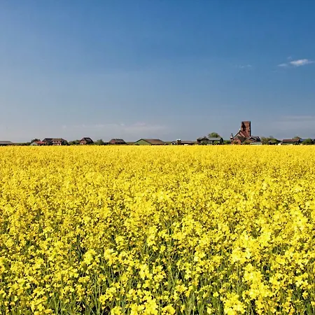 Prázdninový dům Gud Jard Nr 20 - Design-ferienhaus Mit Exklusiver Ausstattung Pellworm