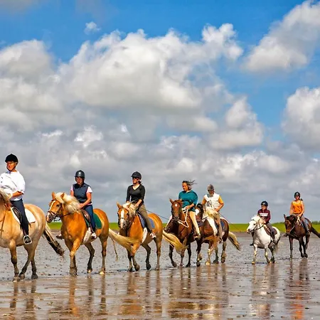 Gud Jard Nr 20 - Design-ferienhaus Mit Exklusiver Ausstattung * Pellworm